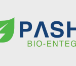 pasha