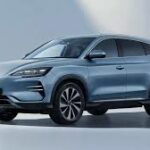 byd1