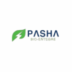 Pasha